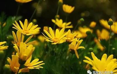 觀點(diǎn) |一次招標(biāo)三年沿用,這樣的項(xiàng)目招標(biāo)代理費(fèi)該怎么收?