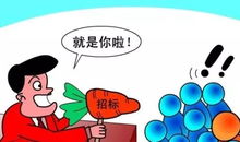 16億元項目,1分錢中標(biāo)代理招標(biāo)