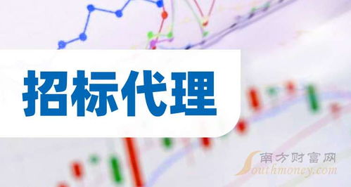 招標(biāo)代理的龍頭股有哪些 2024 9 30